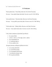 UAB „Finėjas“ transporto infrastruktūros analizė 14 puslapis