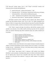 UAB „Finėjas“ transporto infrastruktūros analizė 6 puslapis