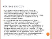 Henrikas Radauskas 1910–1970 8 puslapis