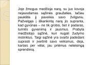 Rašinio struktūra 9-10 kl. 7 puslapis