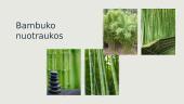 Bambukų pluoštas 6 puslapis