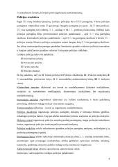 Lenkijos policija 4 puslapis