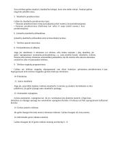 PBX (HICOM) papildomos paslaugos 3 puslapis