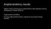 Angliavandeniai yra svarbus energijos šaltinis organizmui 3 puslapis