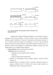 Plonasluoksnių struktūrų topologijos formavimas kontaktinės optinės litografijos būdu 4 puslapis