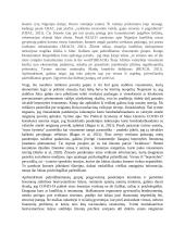 Kaip COVID-19 ir karantino reiškinys veikia pažeidžiamiausios grupės konfliktų zonose pragyvenimą 2 puslapis