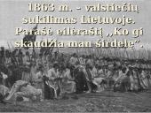 Antanas Baranauskas - gyvenimas ir kūryba 13 puslapis