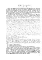 Pajamų auditas. Kursinis darbas 11 puslapis
