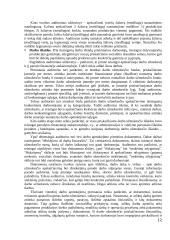 Pajamų auditas. Kursinis darbas 12 puslapis