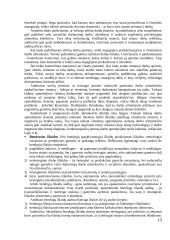 Pajamų auditas. Kursinis darbas 13 puslapis