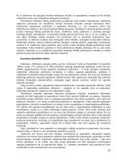 Pajamų auditas. Kursinis darbas 14 puslapis