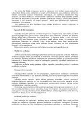 Pajamų auditas. Kursinis darbas 15 puslapis