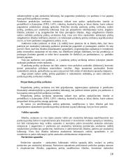 Pajamų auditas. Kursinis darbas 16 puslapis