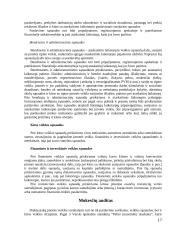Pajamų auditas. Kursinis darbas 17 puslapis