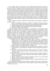 Pajamų auditas. Kursinis darbas 19 puslapis