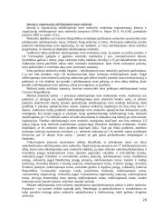 Pajamų auditas. Kursinis darbas 20 puslapis
