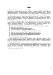 Pajamų auditas. Kursinis darbas 3 puslapis