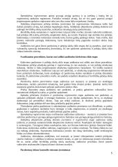 Pajamų auditas. Kursinis darbas 5 puslapis