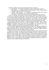 Pajamų auditas. Kursinis darbas 6 puslapis