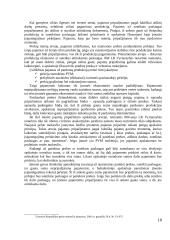 Pajamų auditas. Kursinis darbas 10 puslapis