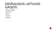 Lietuvos gaujos 2 puslapis