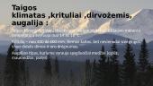Taigos klimatas, augalija bei gyvūnija 3 puslapis