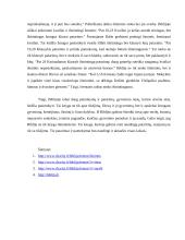 Kokios išminties Biblijoje randa mūsų laikų žmogus? 2 puslapis