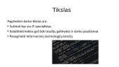 IT specialistai 3 puslapis