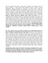 Kaip lietuvių literatūroje atsispindi tautos praeitis?  2 puslapis