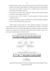 Saugomų augalų ir gyvūnų rūšių apsaugos teisiniai ir  praktiniai aspektai 14 puslapis