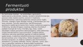 Fermentacija ir fermentuoti produktai 2 puslapis