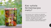 Fermentacija ir fermentuoti produktai 3 puslapis