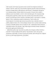 Atmintis: kodėl žmoguje gyva tai, ko jau nėra? 2 puslapis