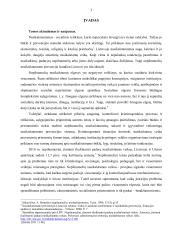 Nepilnamečių nusikalstamumo kriminologinė analizė Utenos apskrityje  3 puslapis