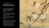 Japonija - samurajų šalis  7 puslapis