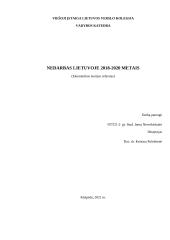 Nedarbo analizė Lietuvoje