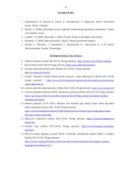 Nedarbo analizė Lietuvoje 12 puslapis