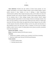 Nedarbo analizė Lietuvoje 3 puslapis