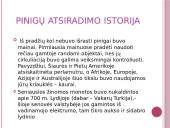 Kas yra finansai? 3 puslapis