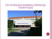 Kas yra finansai? 8 puslapis