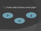 Svoris ir nesvarumas 13 puslapis