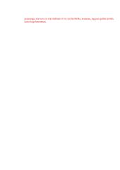 Atsakymai į klausimus apie Don Kichotą 2 puslapis