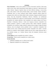 Trumpalaikio turto valdymas UAB „X“ įmonėje 3 puslapis