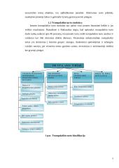 Trumpalaikio turto valdymas UAB „X“ įmonėje 5 puslapis