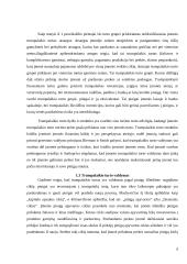 Trumpalaikio turto valdymas UAB „X“ įmonėje 6 puslapis