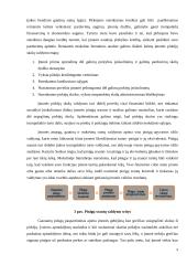 Trumpalaikio turto valdymas UAB „X“ įmonėje 9 puslapis