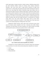 Trumpalaikio turto valdymas UAB „X“ įmonėje 10 puslapis