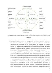 Asmenybės psichinių savybių tyrimas, taikant du pasirinktus tyrimų būdus ir metodikas  8 puslapis