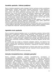 Apskaitos programos BALANSAS 2004 diegimo UAB "Rivilėje" specifikacija. 10 puslapis