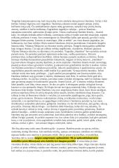 Hamleto analizė 2 puslapis